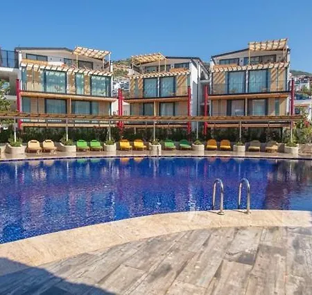 Asfiya Loft *
